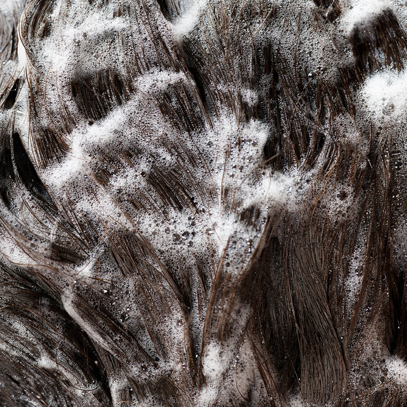 Signature Shampoo - Image 17